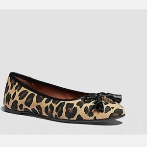 Coach leopard flats